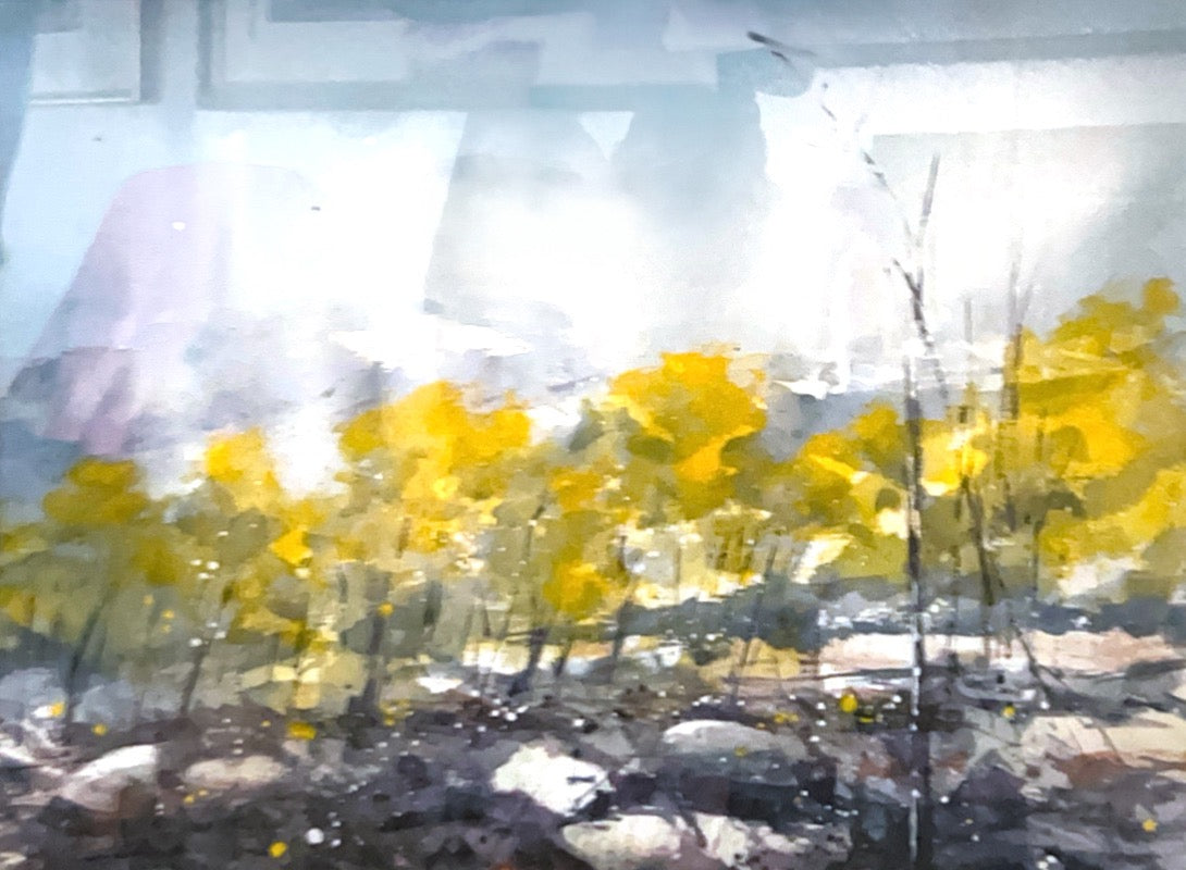 Storm in the Wattle Country