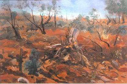 Desert Gully