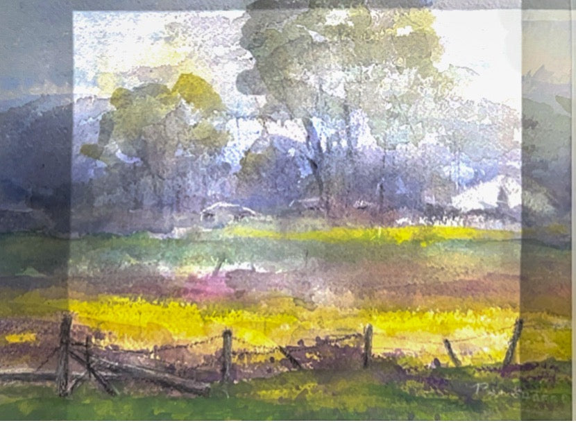 Rural Outlook