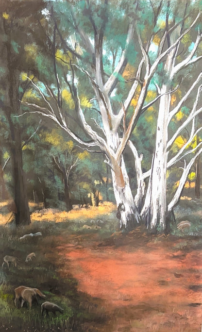 In the Shadow of the Ghost Gum