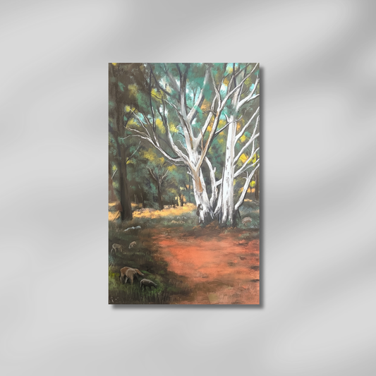 In the Shadow of the Ghost Gum